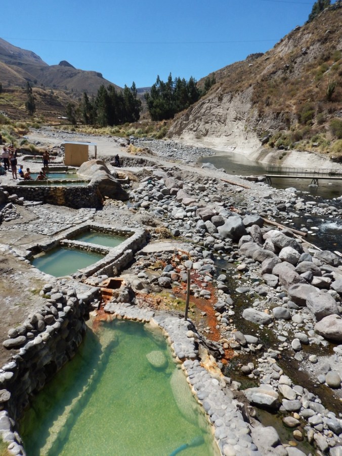 Termes - Canyon del Colca