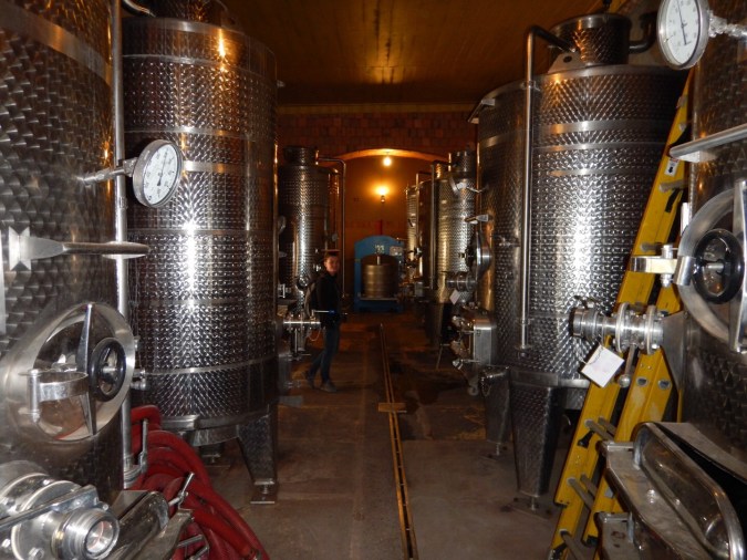 Bodega Cavas del Valle - Vallée de l'Elqui